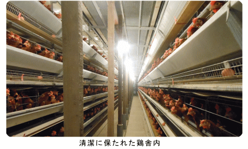 �����ɕۂ��ꂽ�{�ɓ�