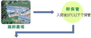 �{���_�ꁨ���ۊǁ�