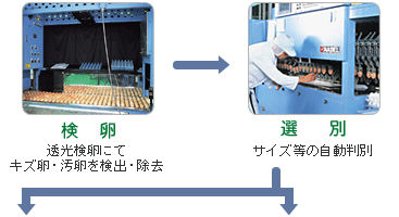 �������I�ʁ�